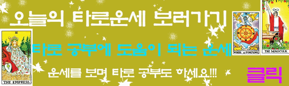 타로운세.jpg