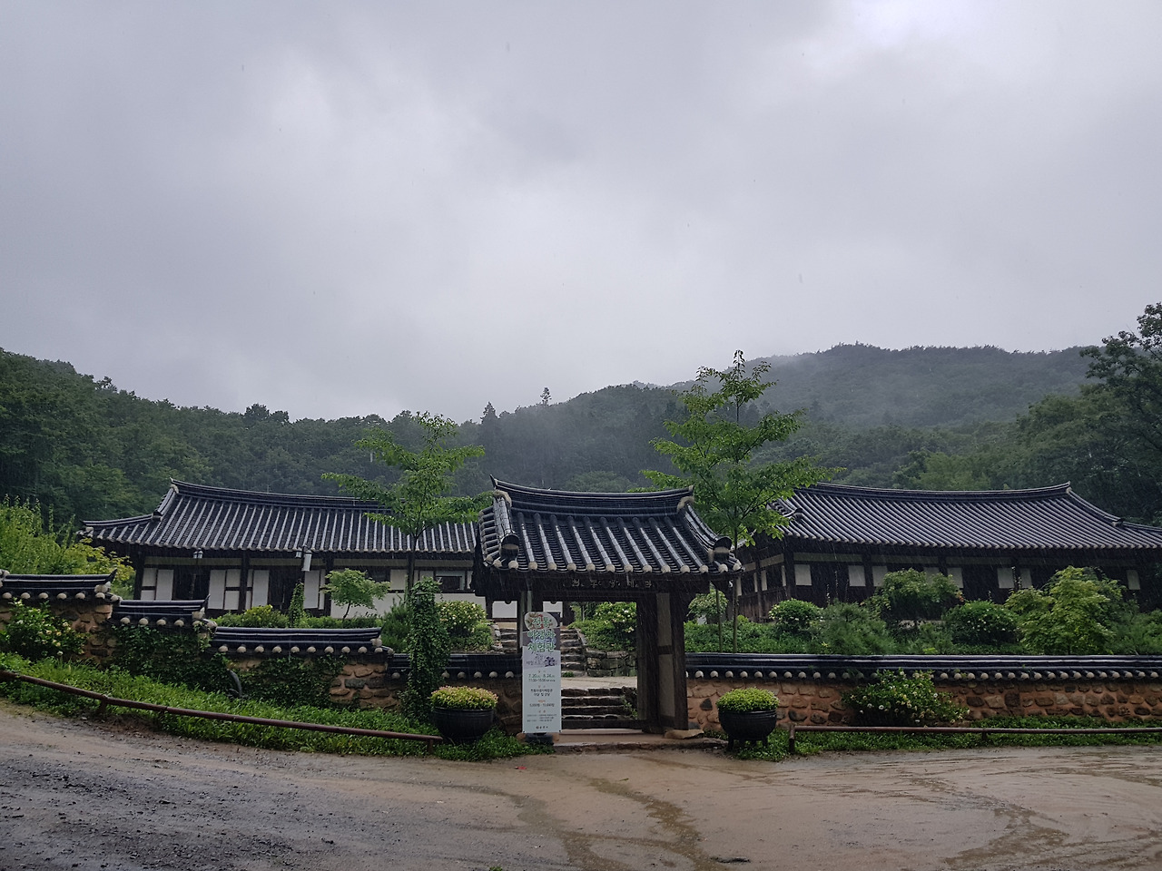 순천전통야생차체험관에서 함께한 시간