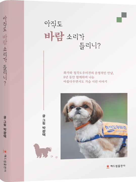 소라 입체표지 720.jpg