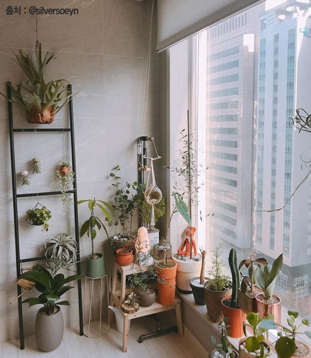 2018-10-05 12;57;47.jpg