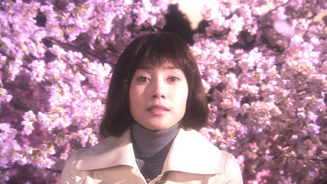 마츠코 꽃길.jpg