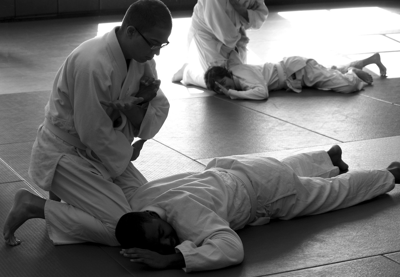 aikido-362954_1920.jpg