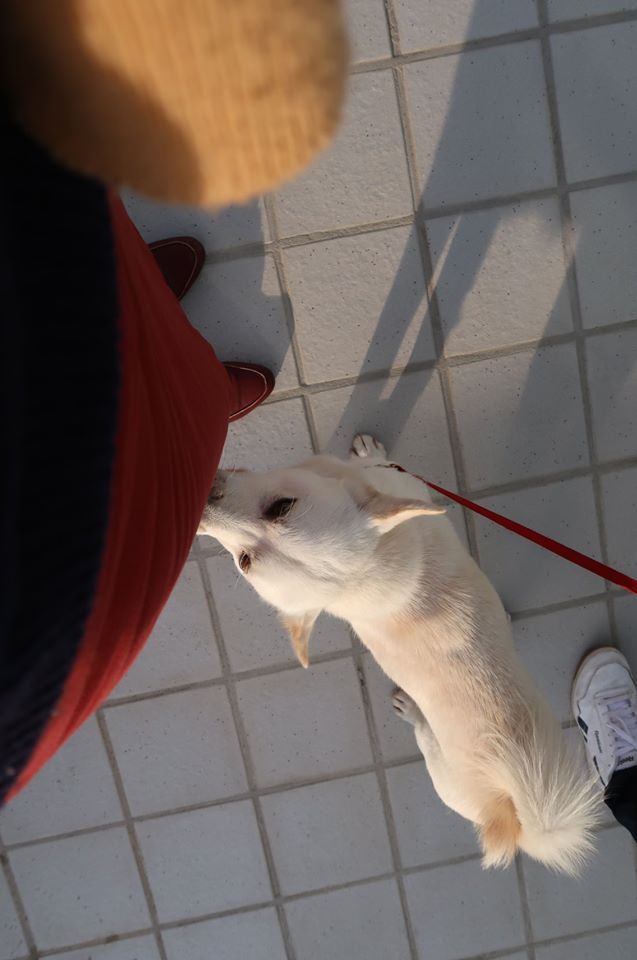 심쿵 혁구 - 김진옥.jpg