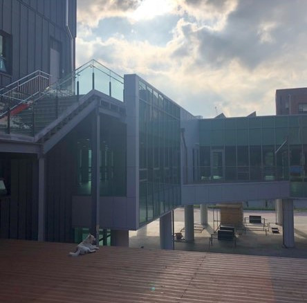 노을바라보는 혁구 - 김진옥.jpg