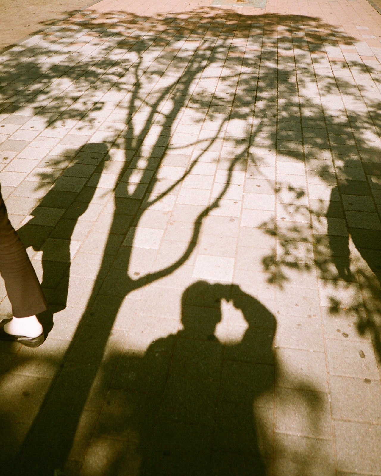 72F94F96-05BD-4F8C-B74C-322F55EA89AF 2.jpg