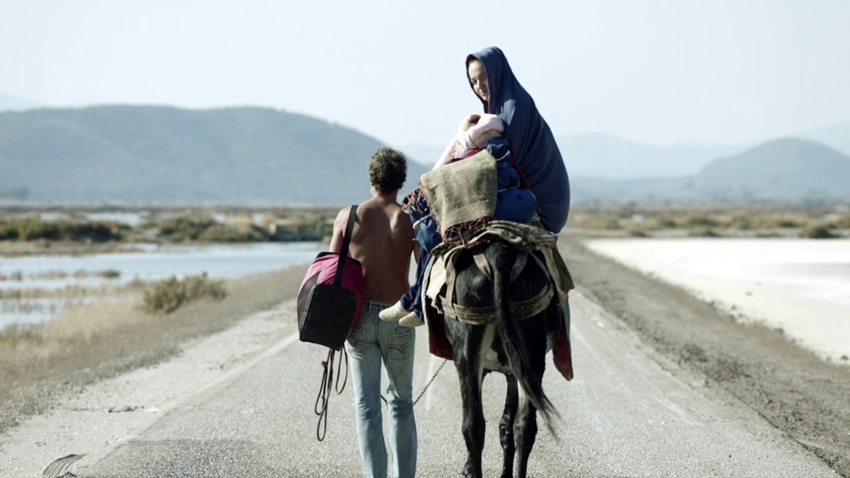 S040_The Miracle of the Sargasso Sea_2019.jpg