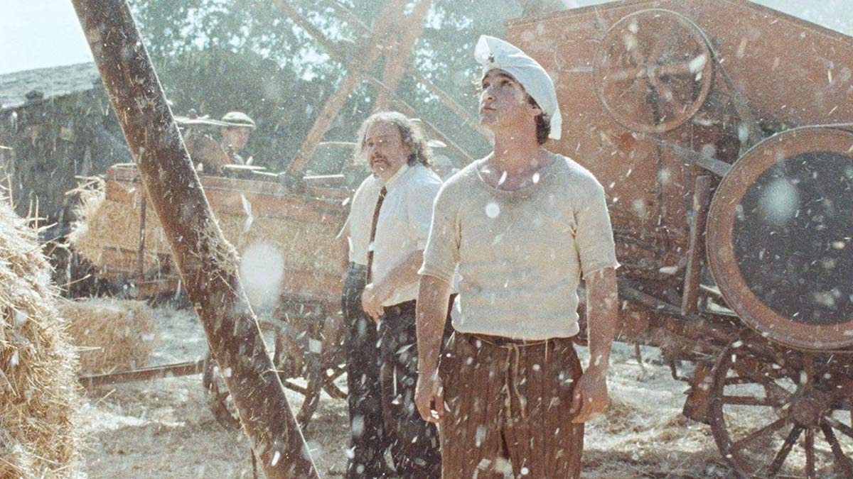 Lazzaro Felice_A.jpg