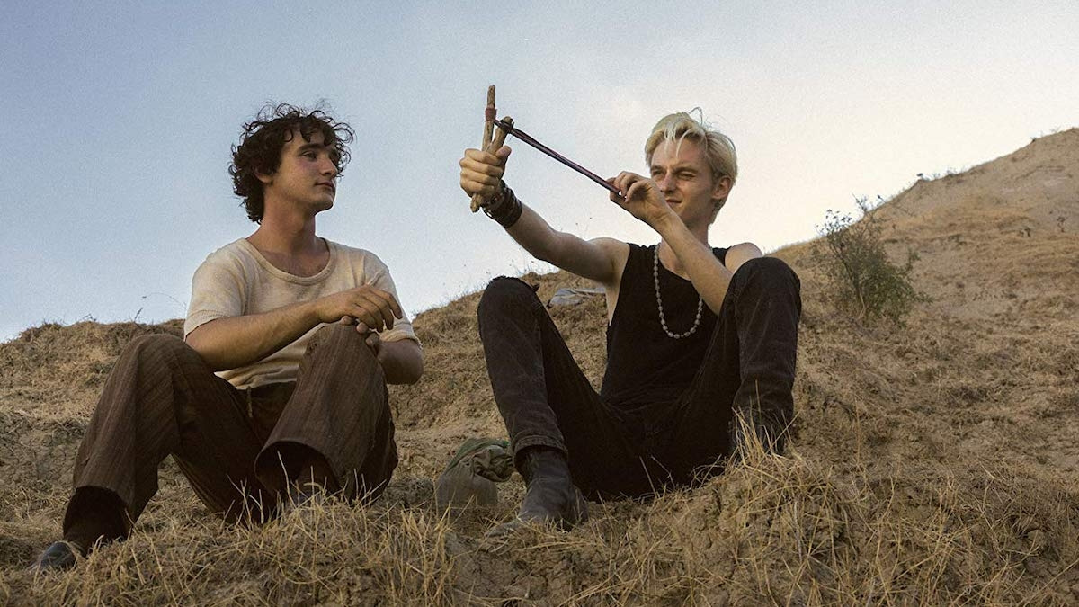 Lazzaro Felice_C.jpg