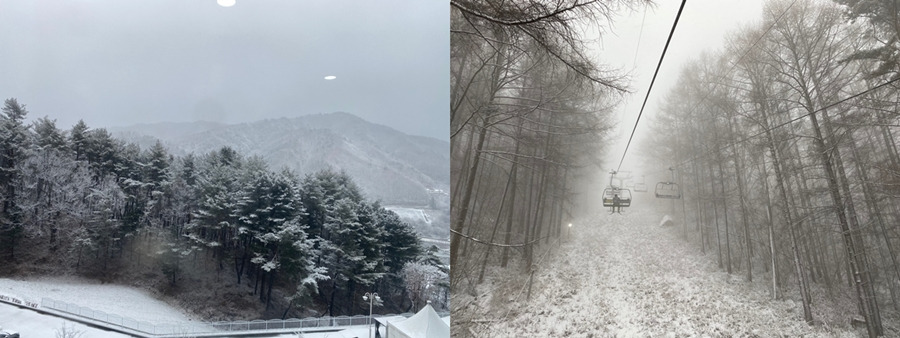 0220_스키장_04.jpg