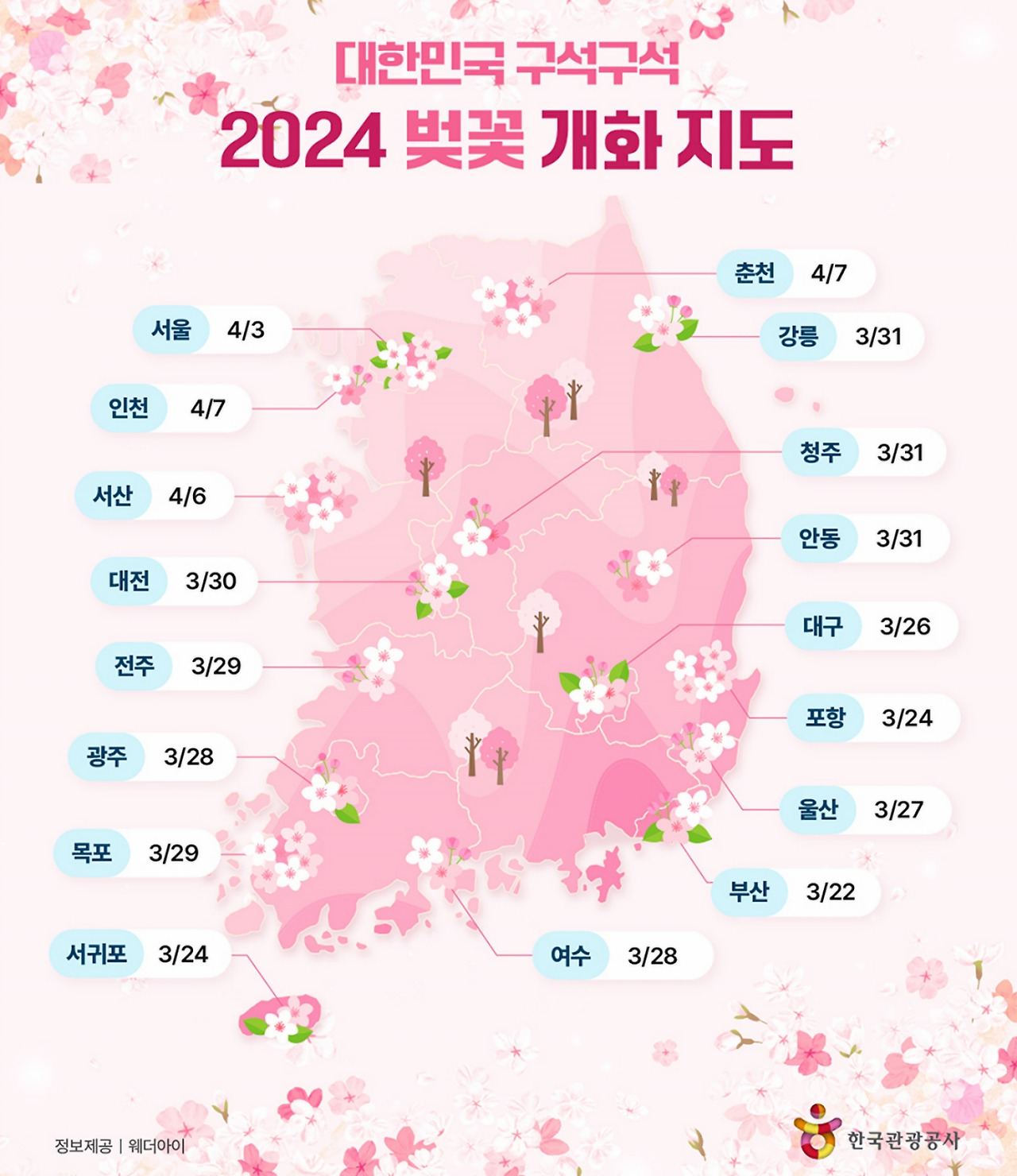 2024 벚꽃 개화 지도.jpg