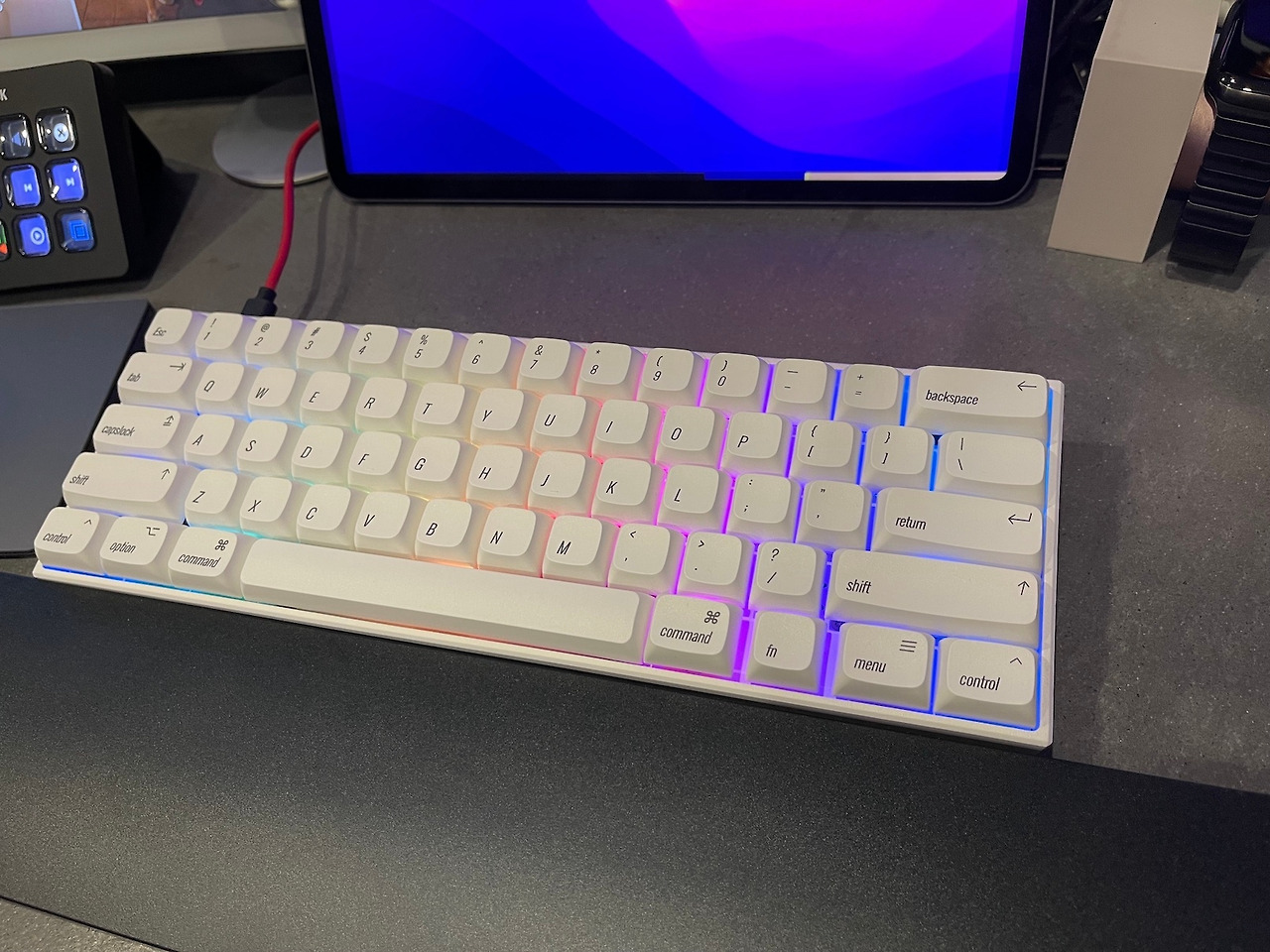 annepro2.jpg