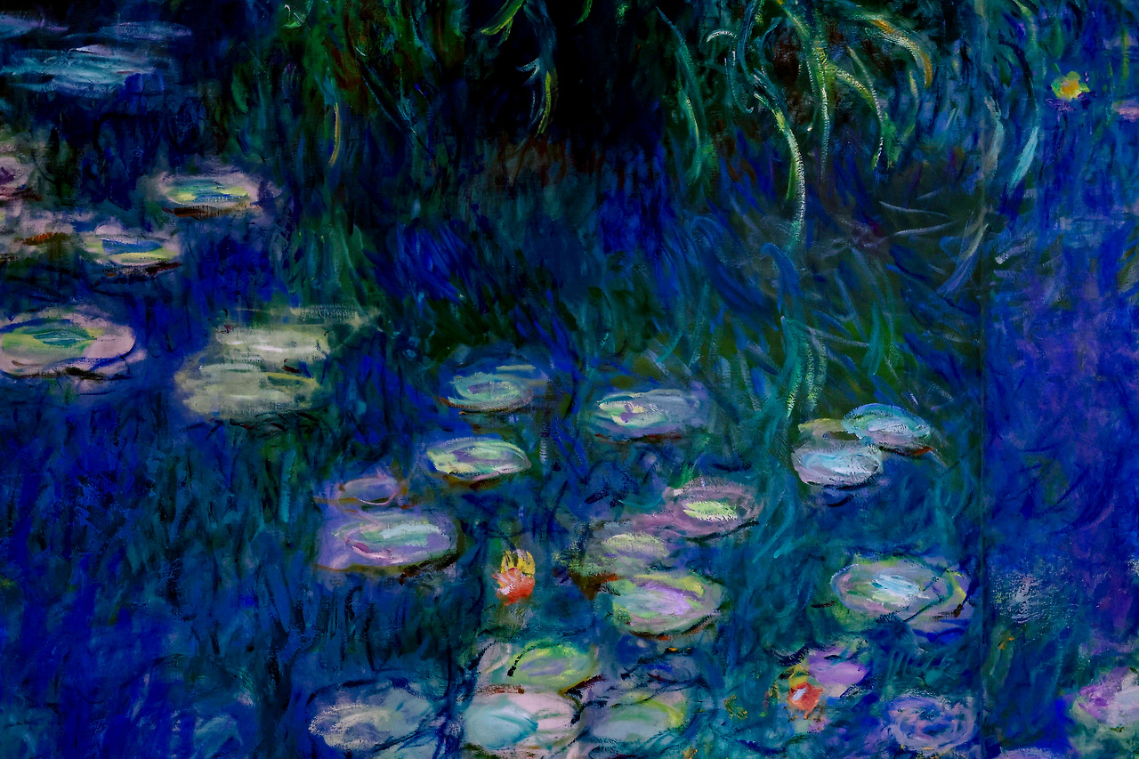 _63A7582_4 복사.jpg