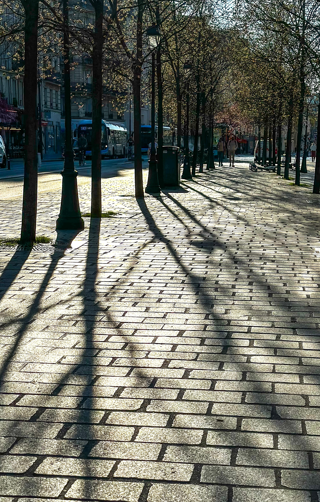 IMG_9357 4 복사.jpg