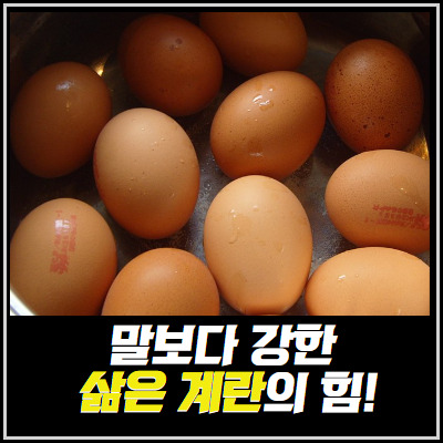 무료 카지노 게임