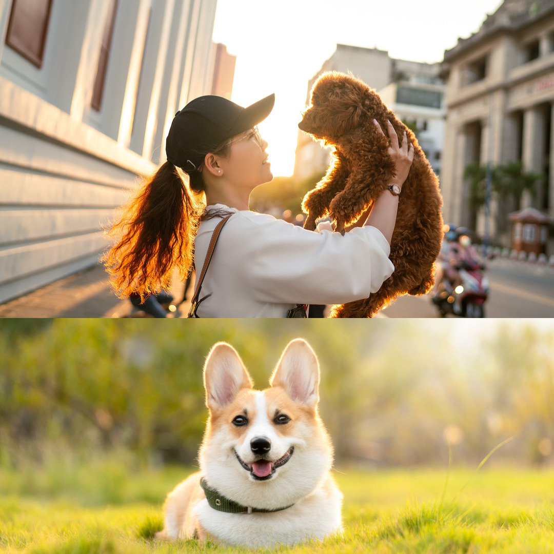 책쓰기글쓰기_기다림희망_오늘사랑한것처럼_글잘쓰는법_글쓰기_책쓰기 (2).jpg