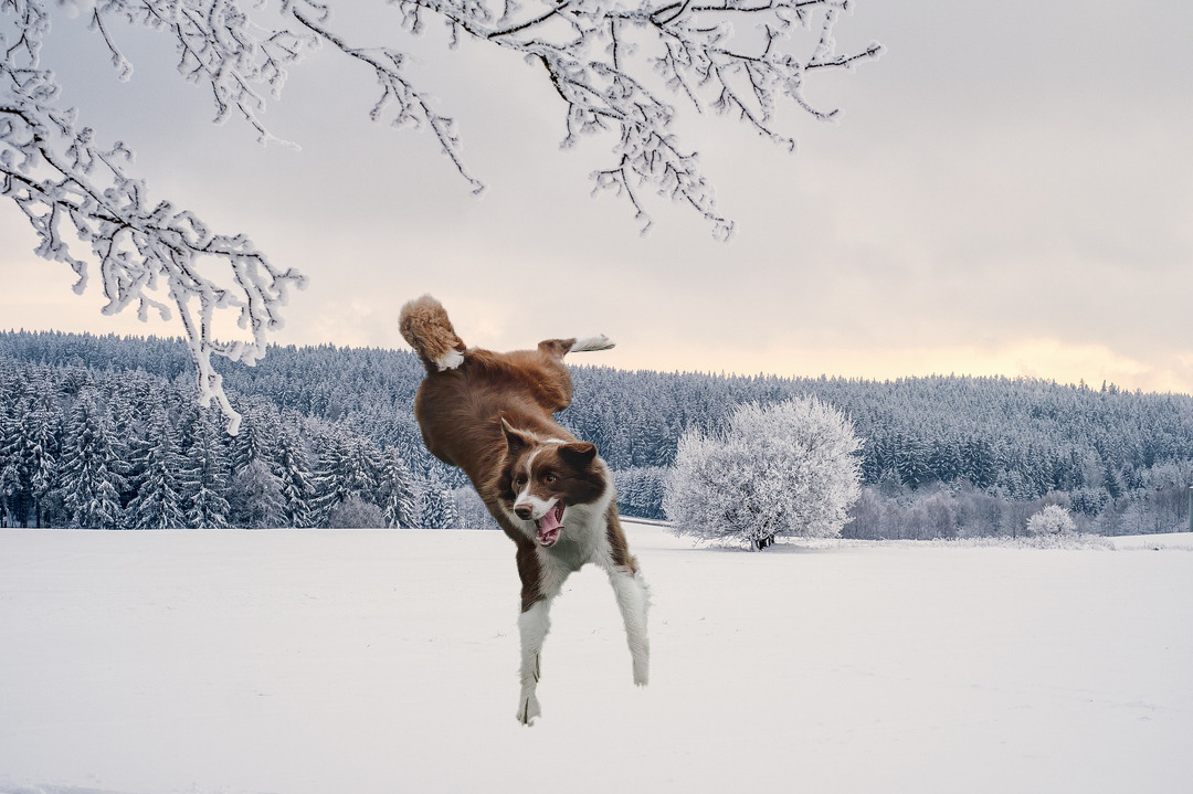 책쓰기글쓰기_기다림희망_오늘사랑한것처럼_글잘쓰는법_글쓰기_책쓰기 (1).jpg