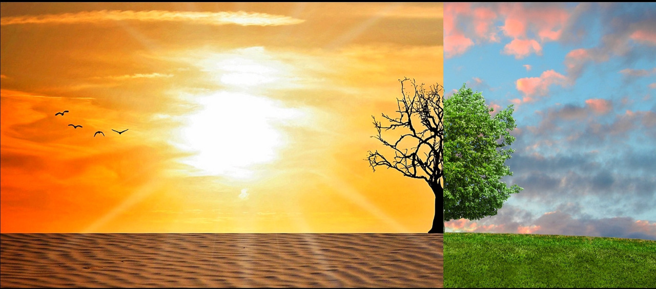 브런치스토리커버 (30).jpg