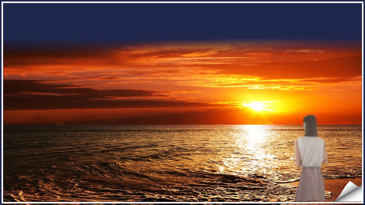 206회 부산큰솔나비 독서모임 (6).jpg