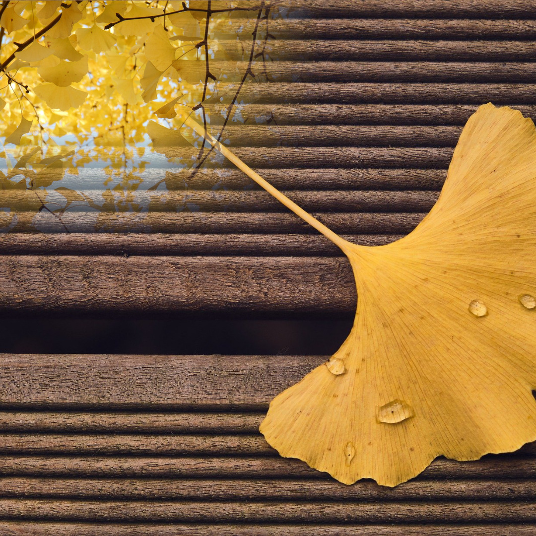 글쓰기책쓰기_부산글쓰기_글센티브책쓰기스쿨 (75).jpg