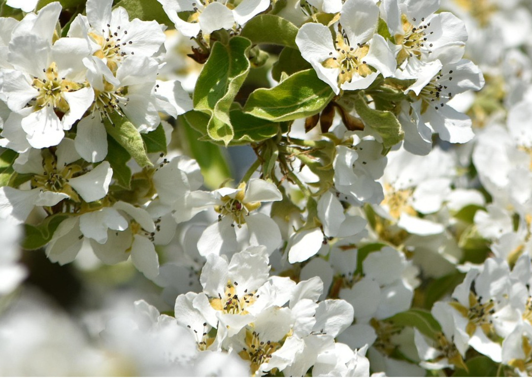 인생_글성과_성장_자아실현 (7).jpg