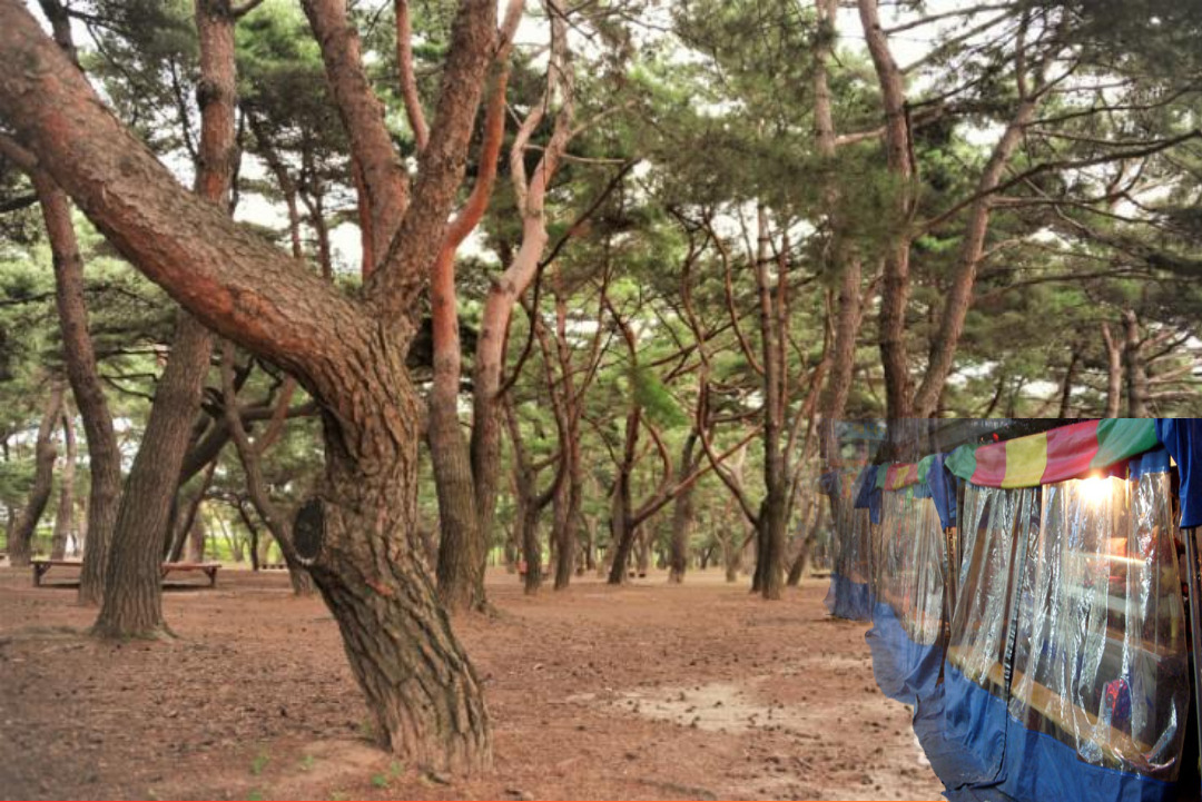 책쓰기글쓰기_책쓰기정규과정__글센티브책쓰기_시간_크리스마스할인_부산글쓰기_글센티브책쓰기스쿨 (5).jpg