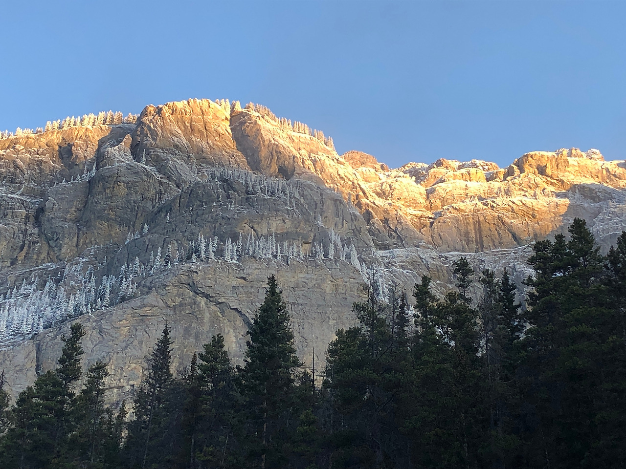 20231001_140533518_iOS (1).jpg