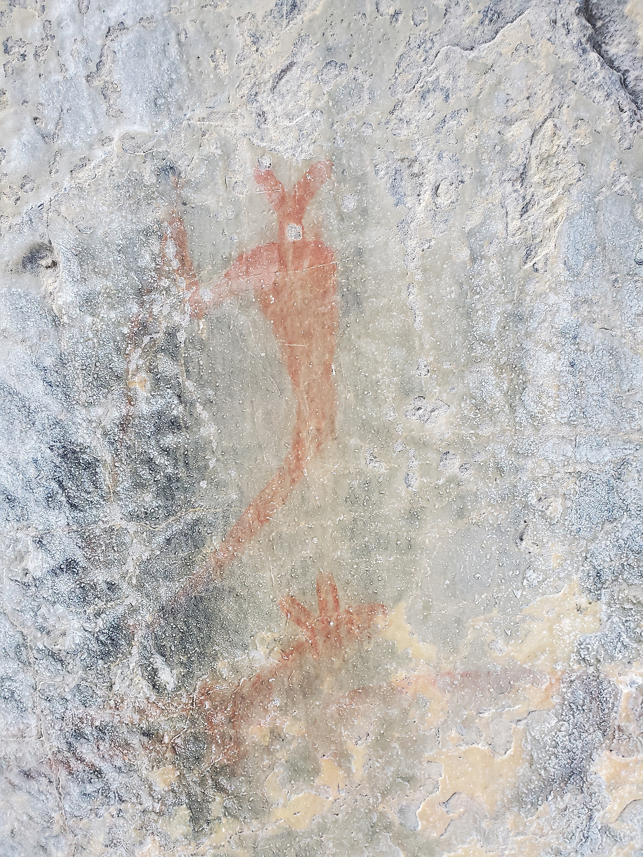 20250208_121435 grotto canyon.jpg