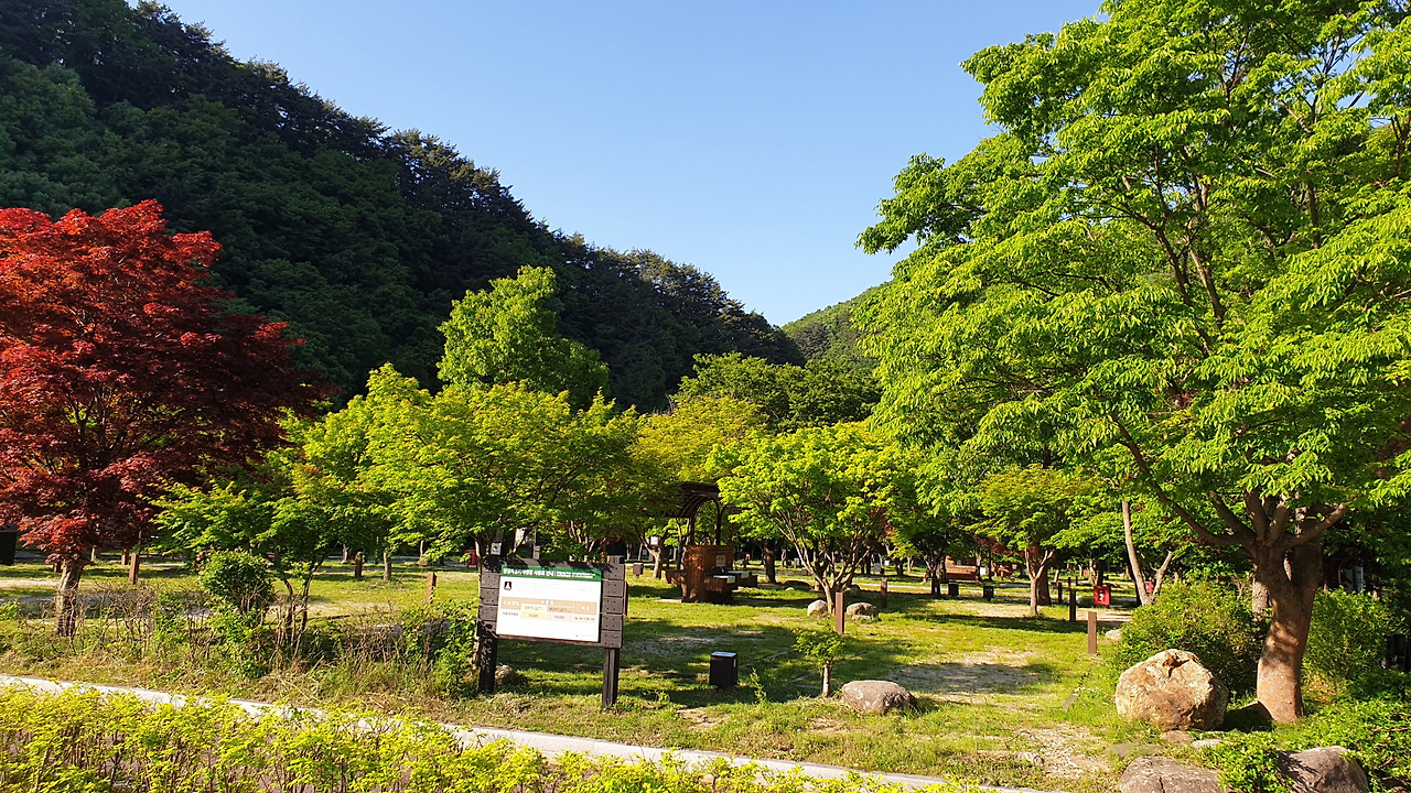 -책달궁주차장-숲 -20190523_171443.jpg