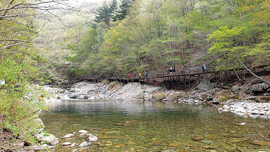 1-뱀사골-신선길사본 -20190422_155230.jpg