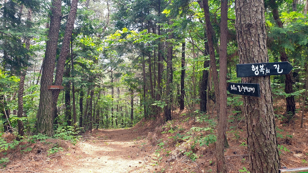 양경산 숲길 -20200524_121728.jpg