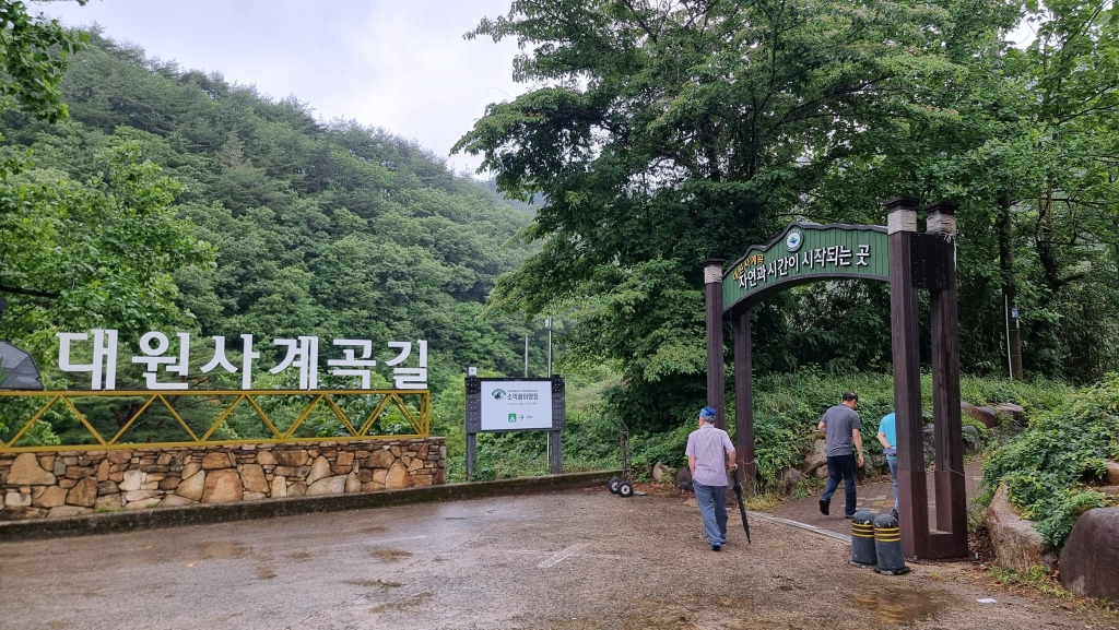 0-대원사계곡탐방로-20220615_112928.jpg