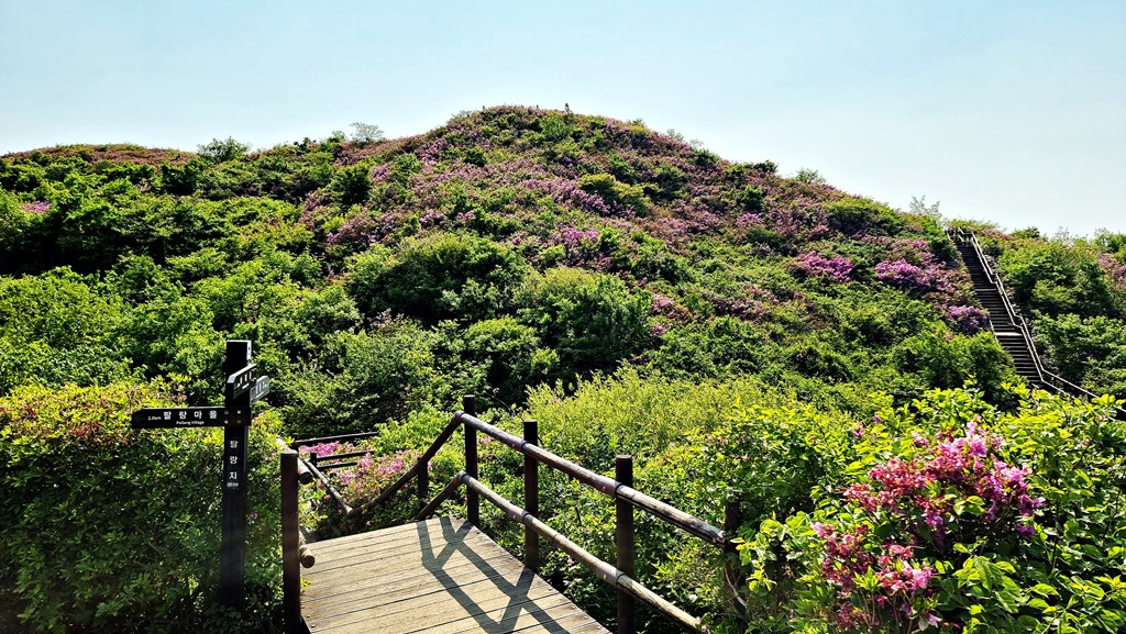 팔랑치철쭉이정표 -20220518_154219.jpg