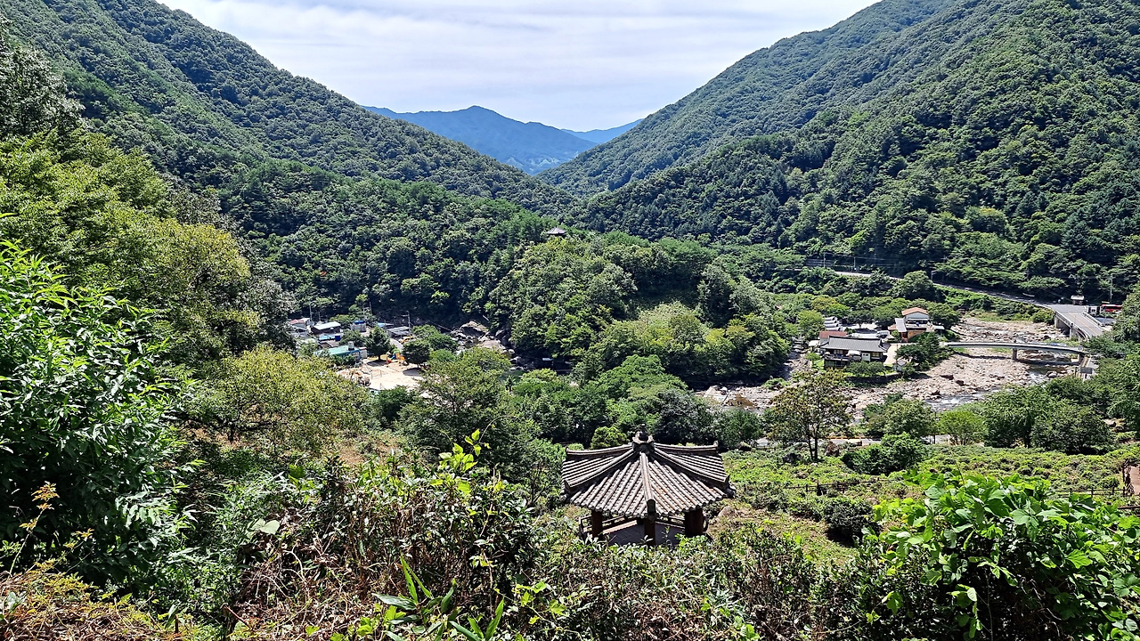 imsz-선명_화개골짜기 -20220828_120842.jpg