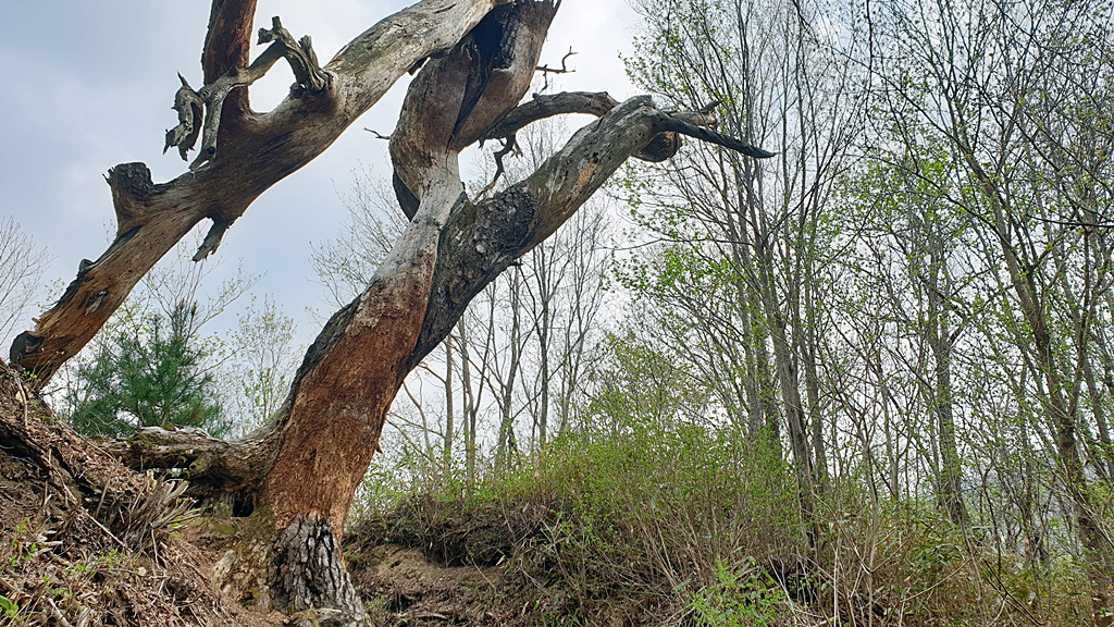 북두재고사목-사본 -20190422_162058.jpg