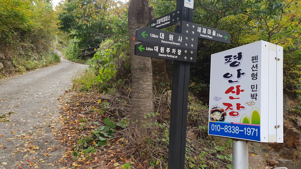 대원사계곡삼거리KakaoTalk_20191011_172209704.jpg