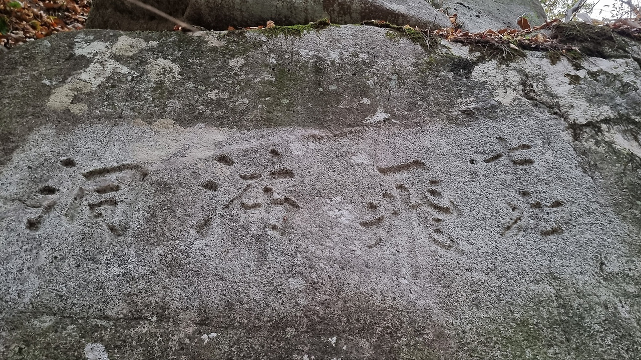 비폭동-사본 -temp_1667651815348.1837292661.jpg