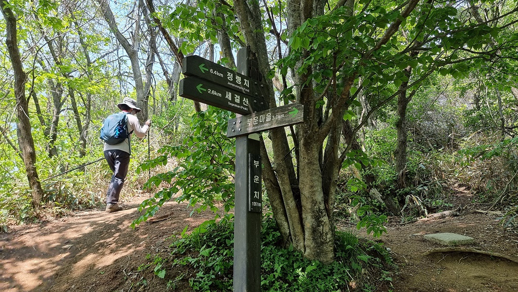 부운치 -20220518_135918.jpg