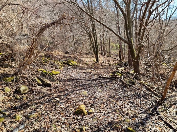 절터중심사역 -20210124_115723.jpg