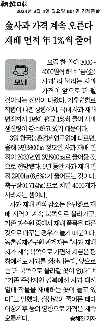 2024-03-04_사과값오르는 이유,.jpg