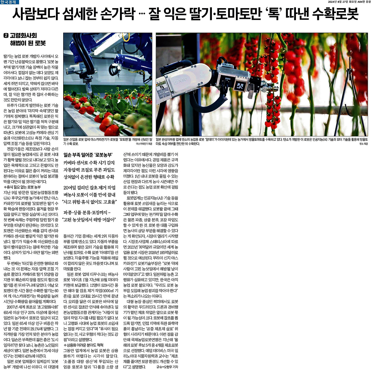 한국경제_사람보다 섬세한 손가락…잘 익은 딸기·토마토만 ‘톡’ 따낸 수확로봇_2024-08-27.jpg