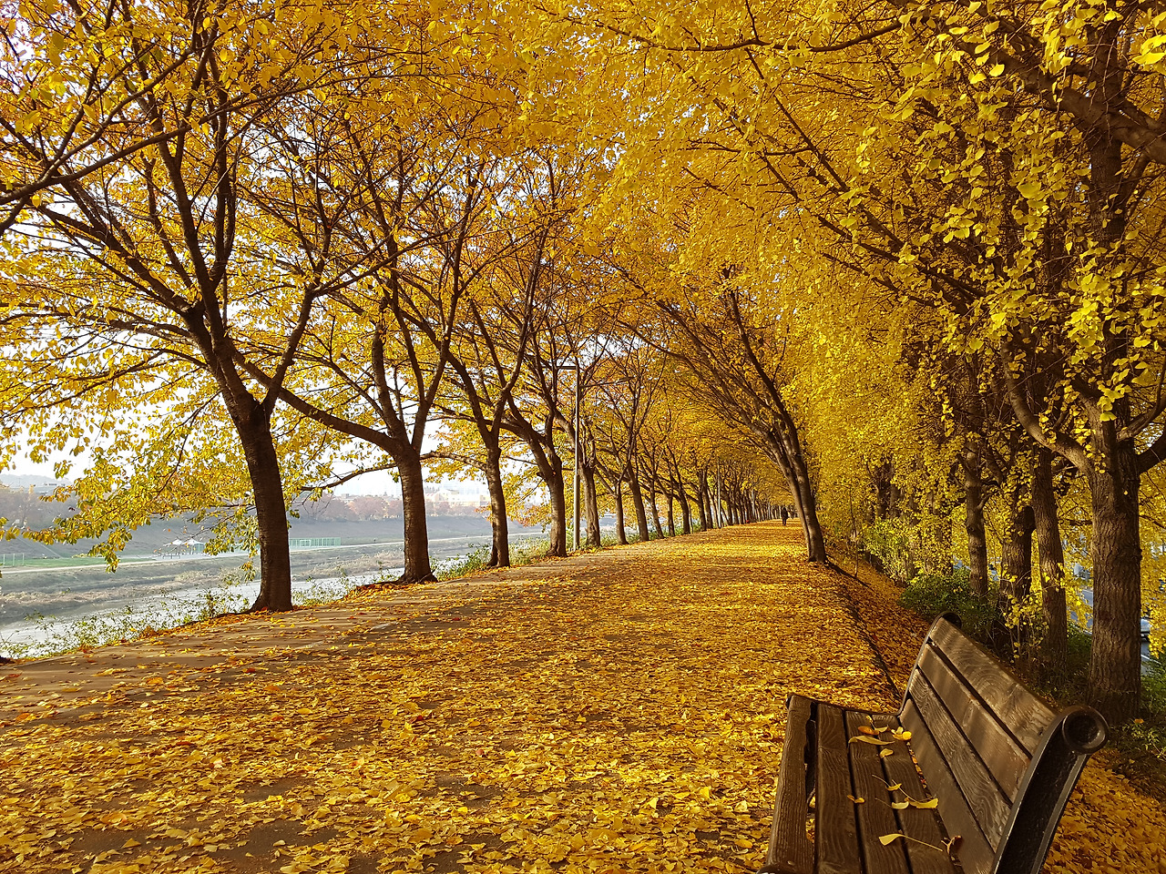 2016-11-17 15.35.19.jpg