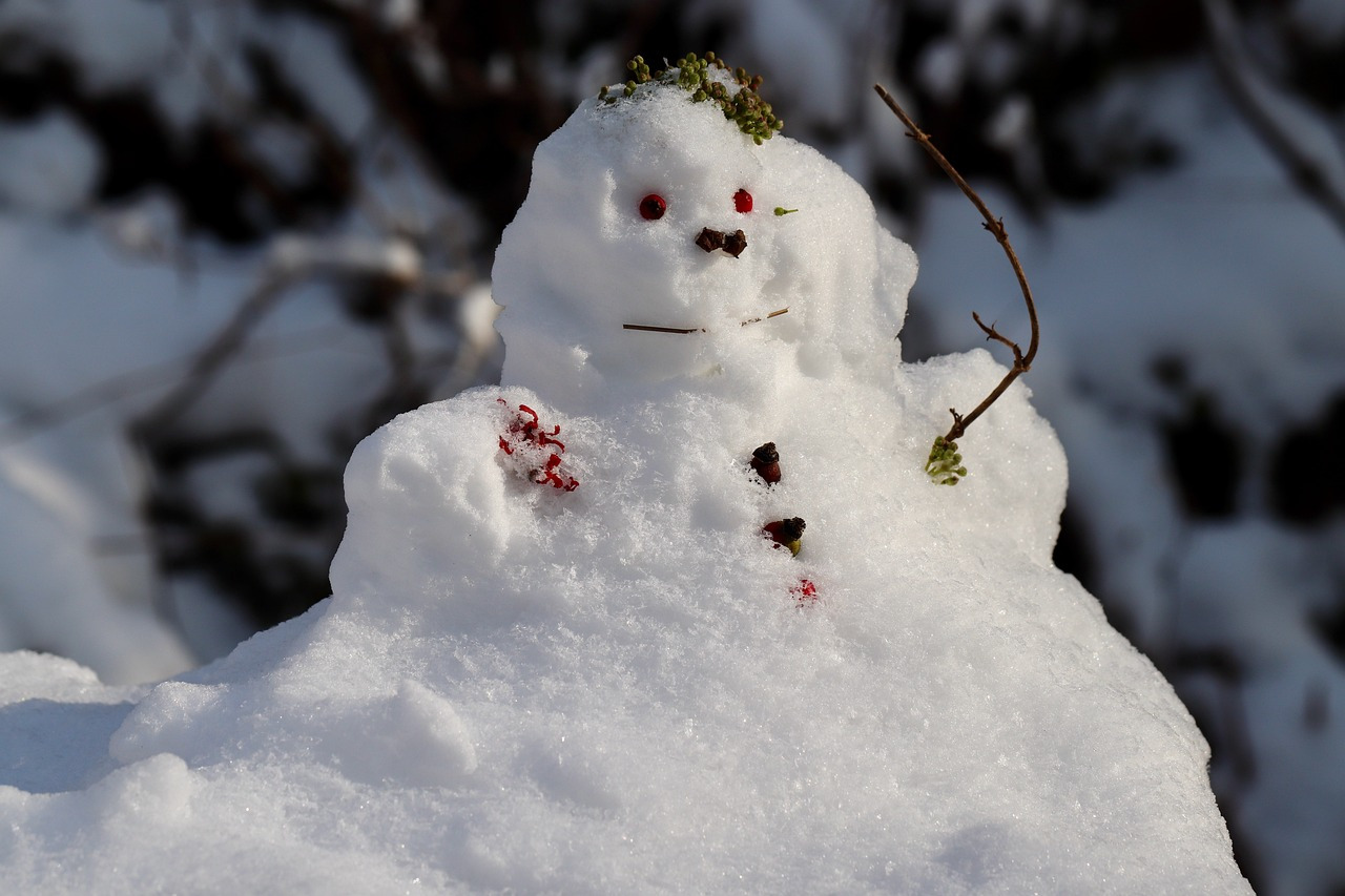 snowman-6027634_1280.jpg