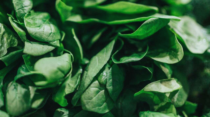 spinach.jpg