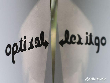 Optical_Let_it_go_mirror_ambigram_by_Basile_Morin.jpg