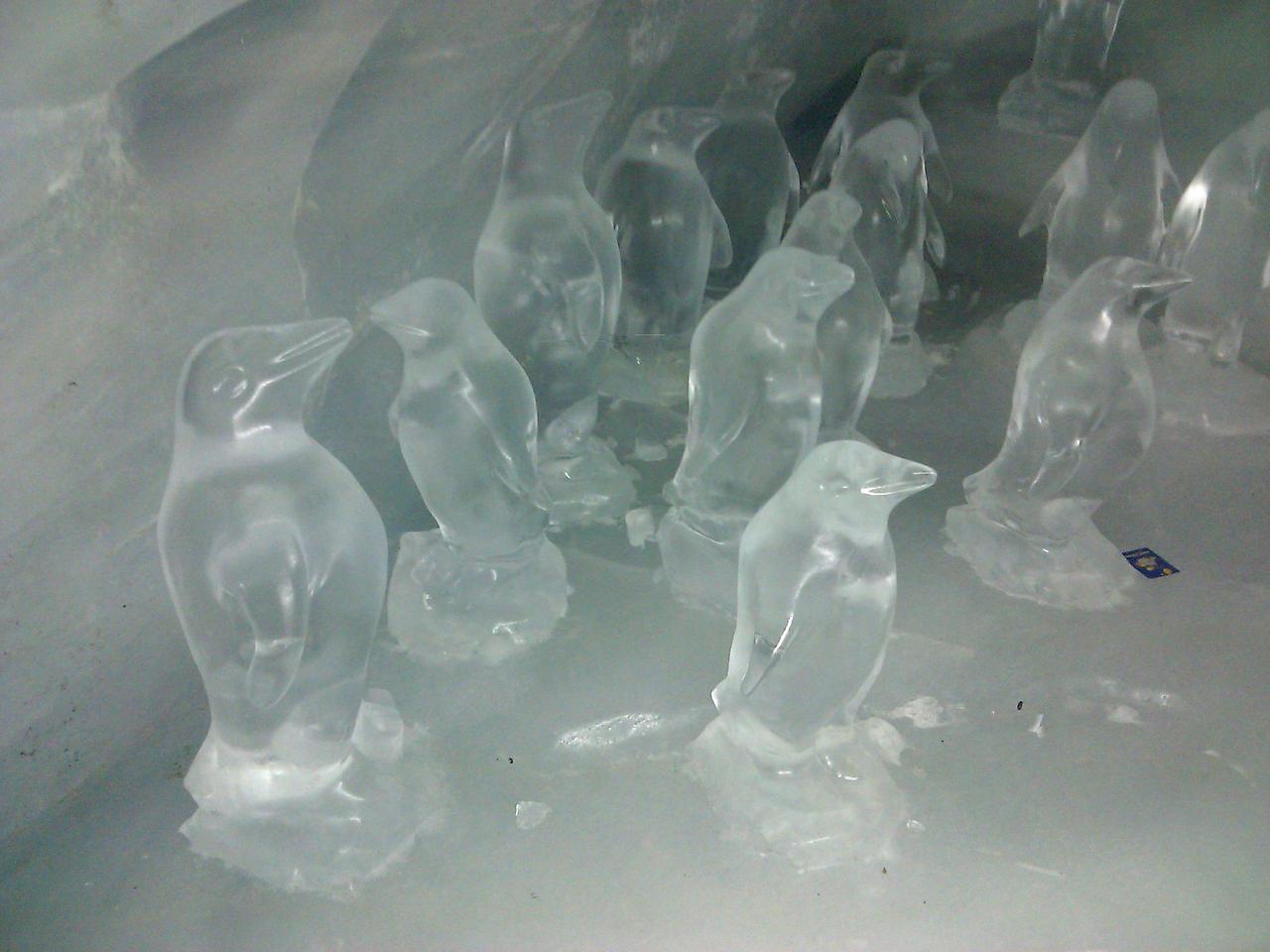 2012-01-07 14.27.07.jpg