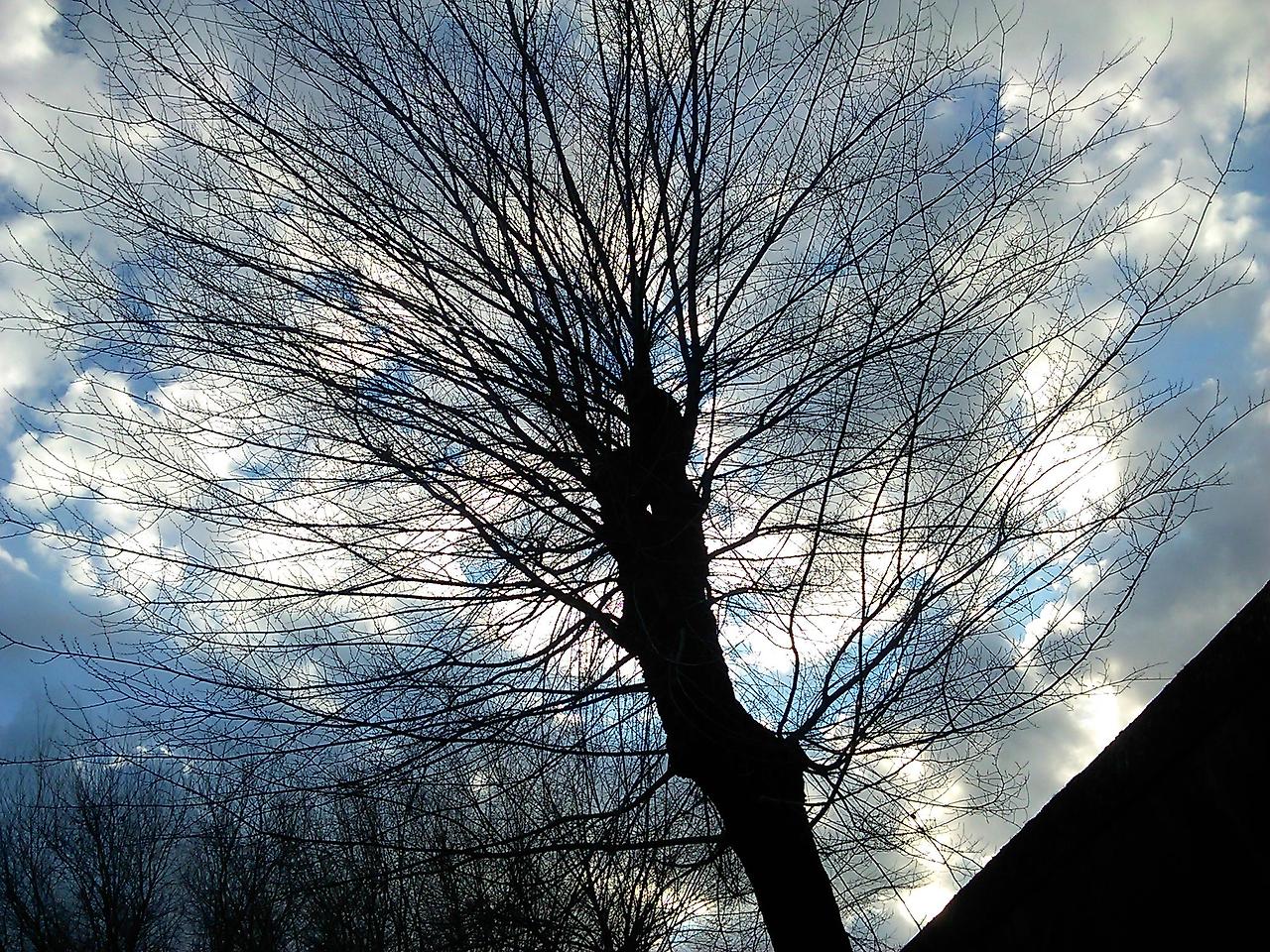 2012-01-14 15.25.38.jpg