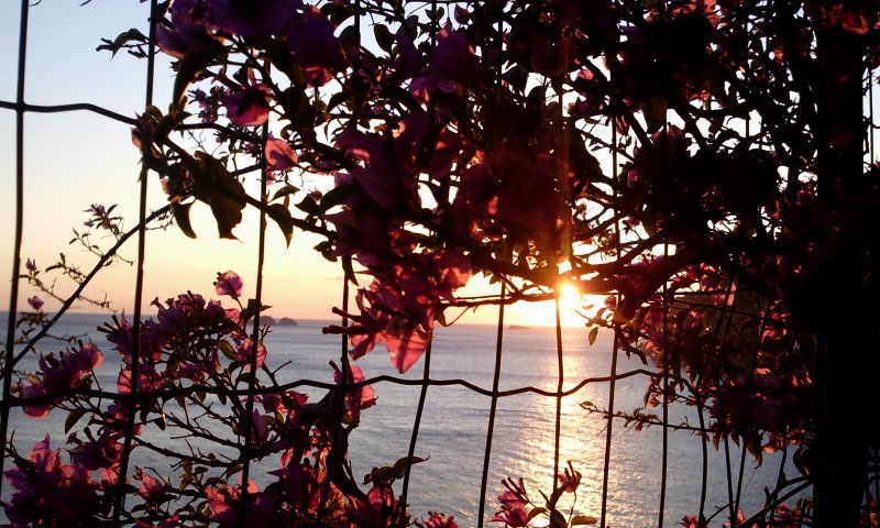 2012-01-16 16.48.17.jpg