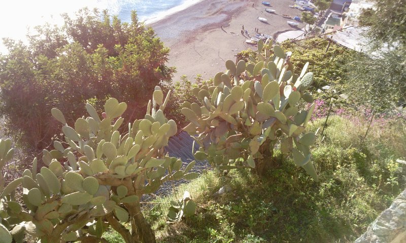 2012-01-16 15.02.11.jpg