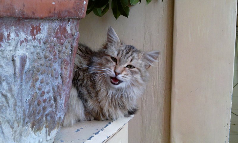 2012-01-16 16.20.02.jpg