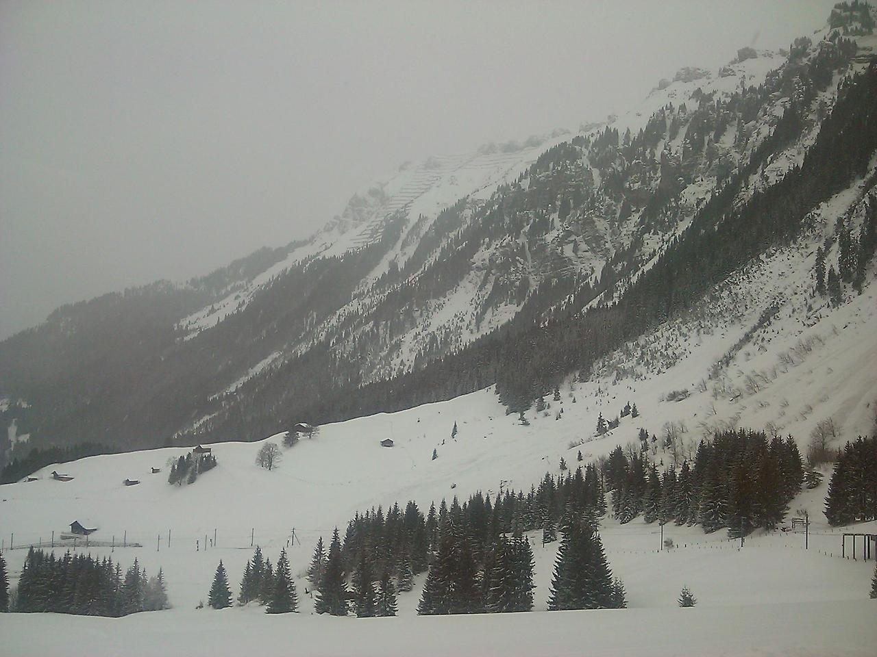 2012-01-07 12.07.48.jpg